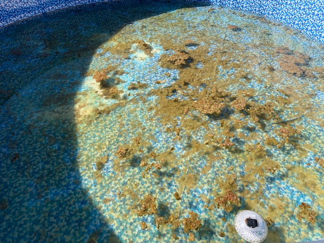 Pool bad
